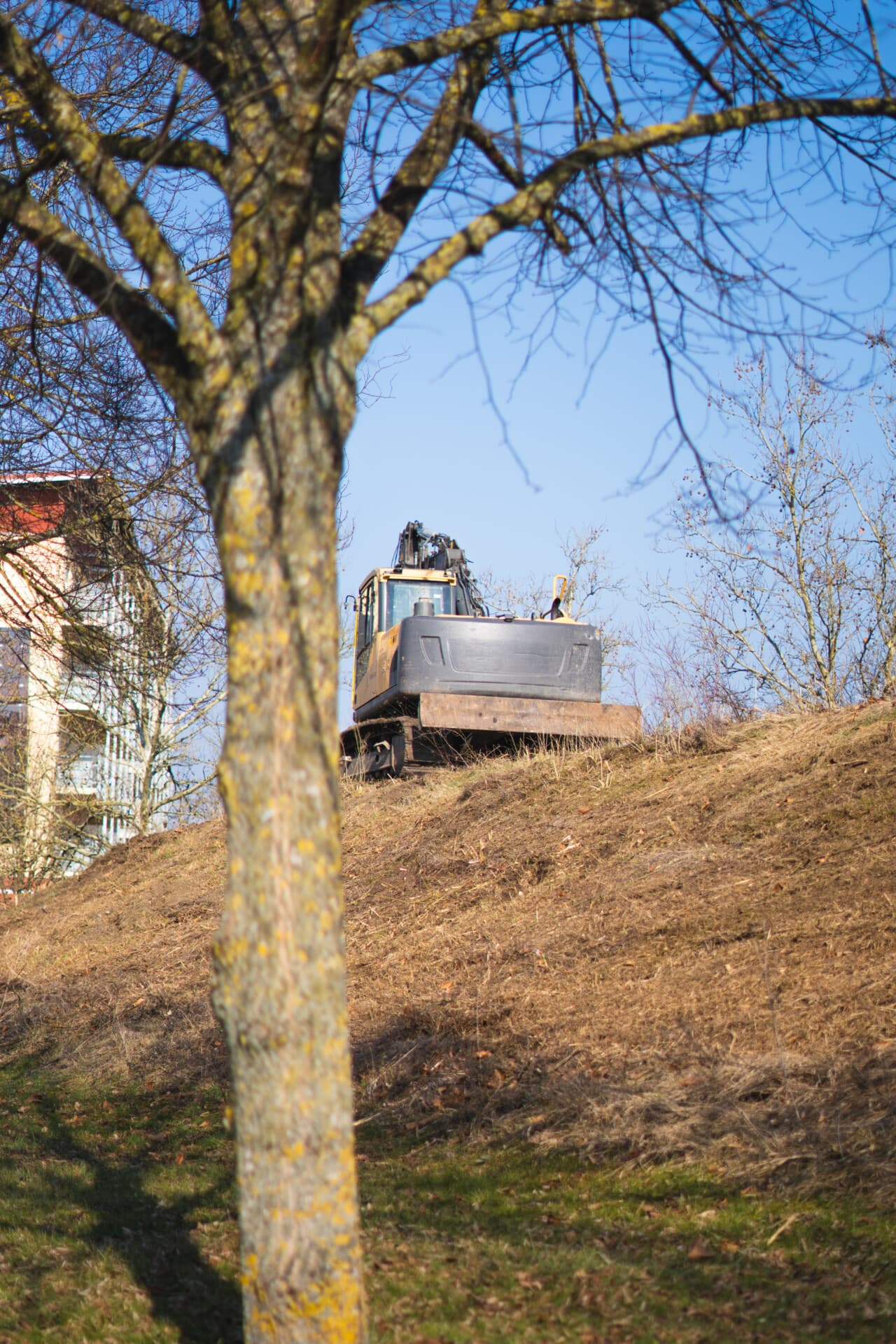Bagger auf einem Erdwall hinter einem kahlen Baum