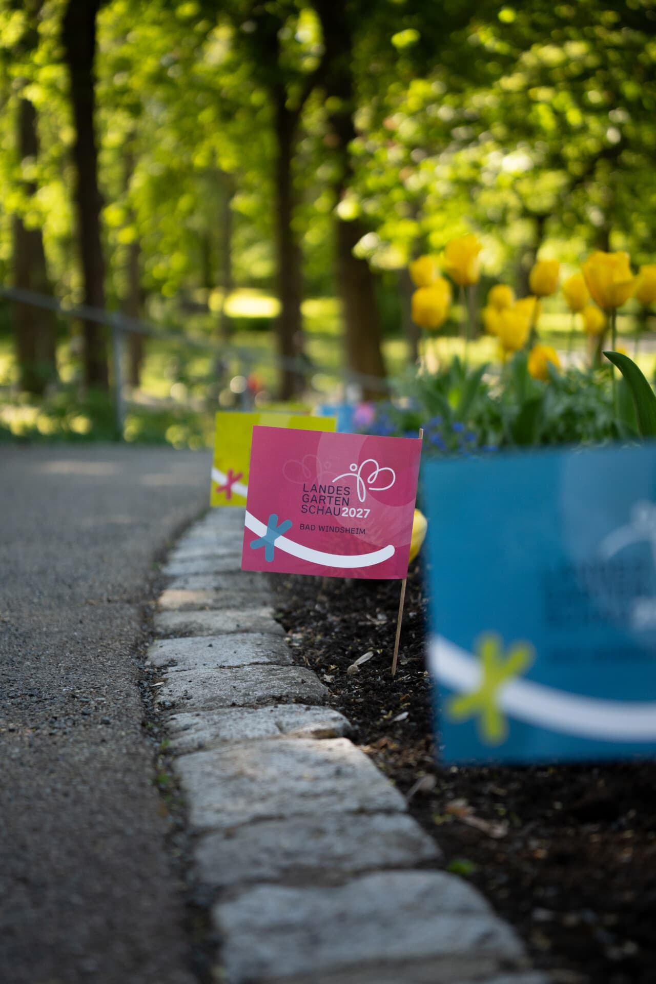 Bunte Landesgartenschau-Schilder am Wegrand im Kurpark, daneben blühende gelbe Tulpen