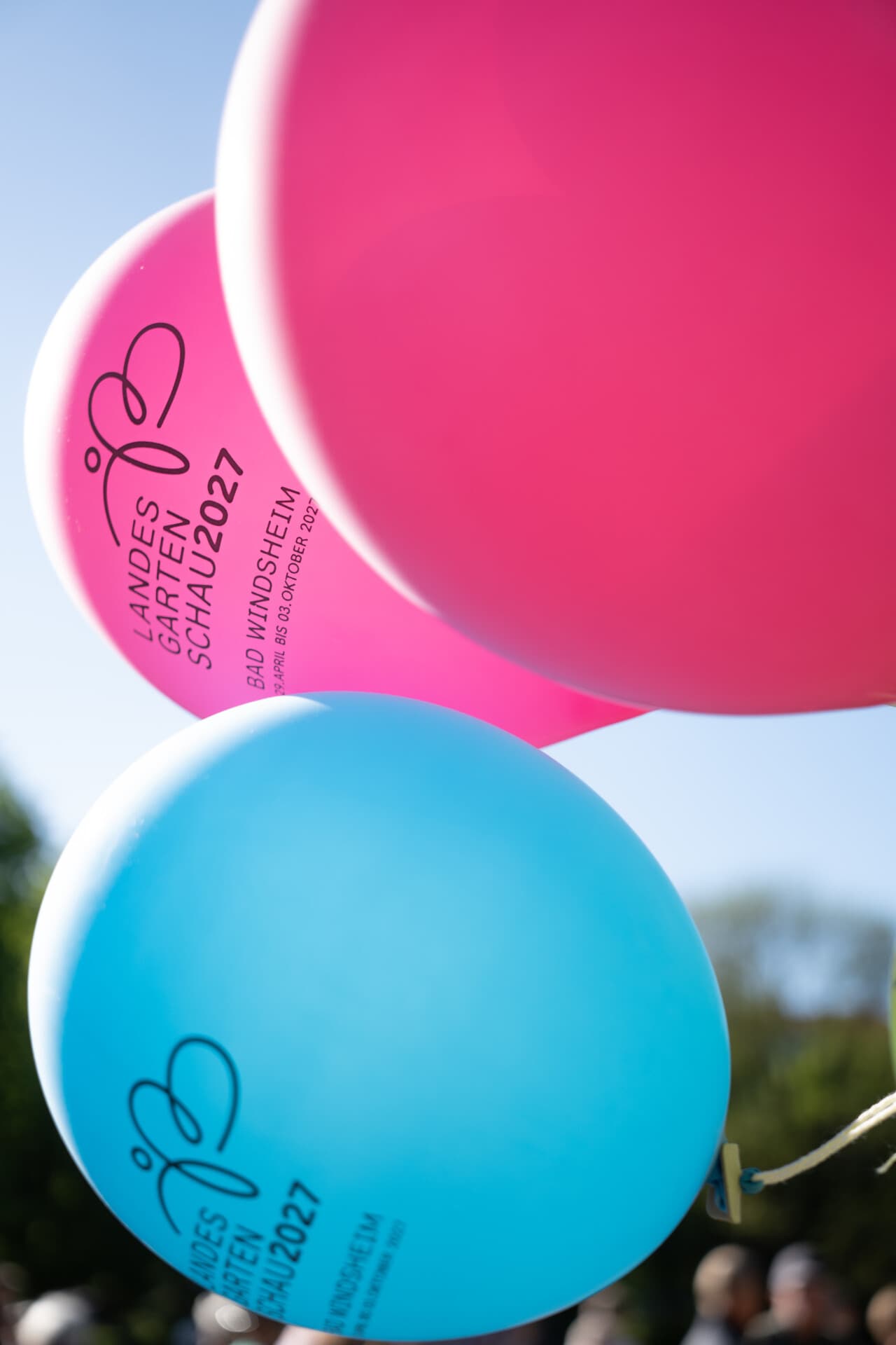 Pinker und blauer Luftballon mit dem Logo der Landesgartenschau vor blauem Himmel