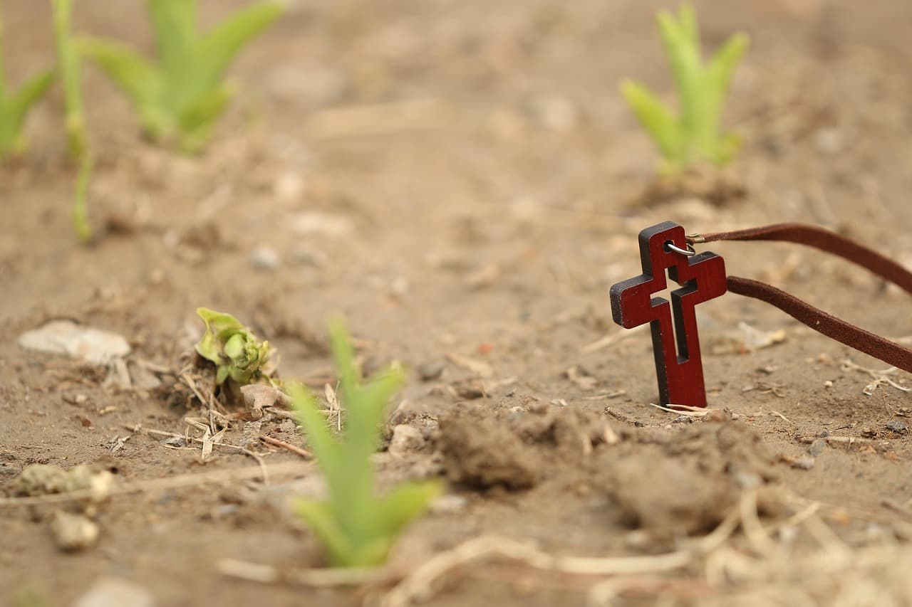 Hölzernes Kreuz an einem Lederband steckt in frisch bepflanzter Erde mit jungen Trieben