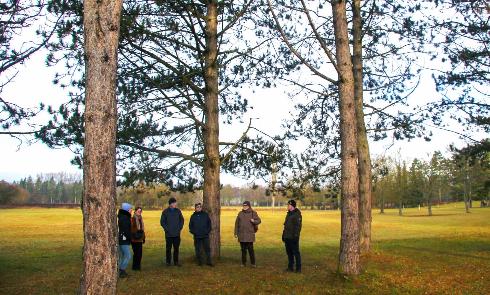 Gruppe von Menschen steht zwischen hohen Kiefern auf einer winterlichen Wiese