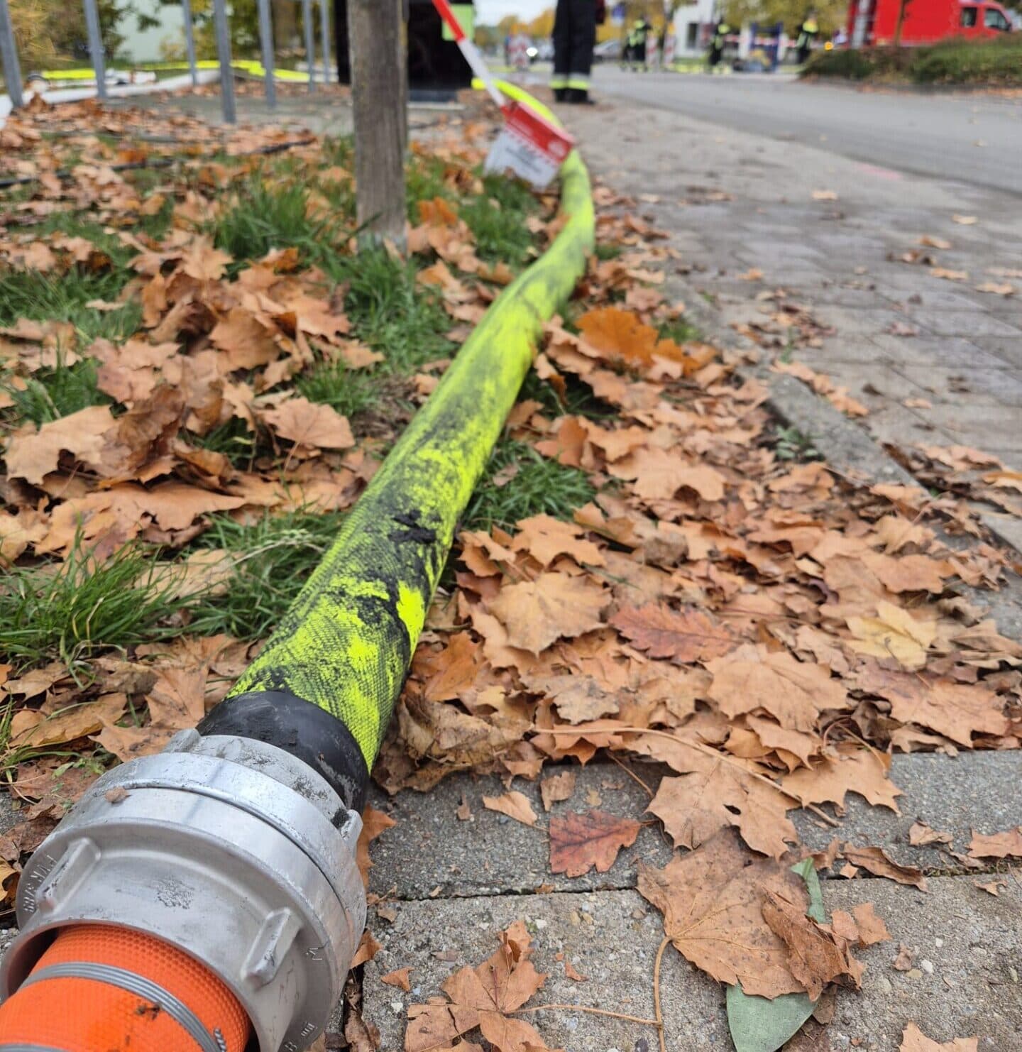 Gelber Bauschlauch liegt über Herbstlaub am Rand der Baustelle